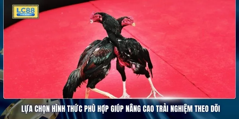 Lựa chọn hình thức phù hợp giúp nâng cao trải nghiệm theo dõi