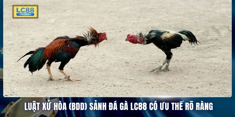 Luật xử hòa (BDD) sảnh đá gà LC88 có ưu thế rõ ràng