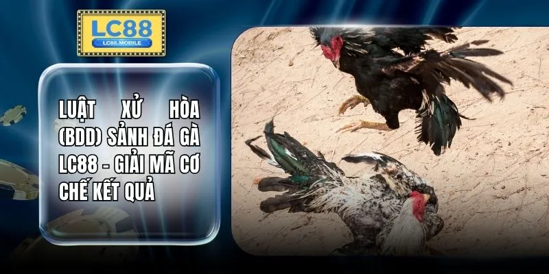 Luật Xử Hòa (BDD) Sảnh Đá Gà LC88 - Giải Mã Cơ Chế Kết Quả