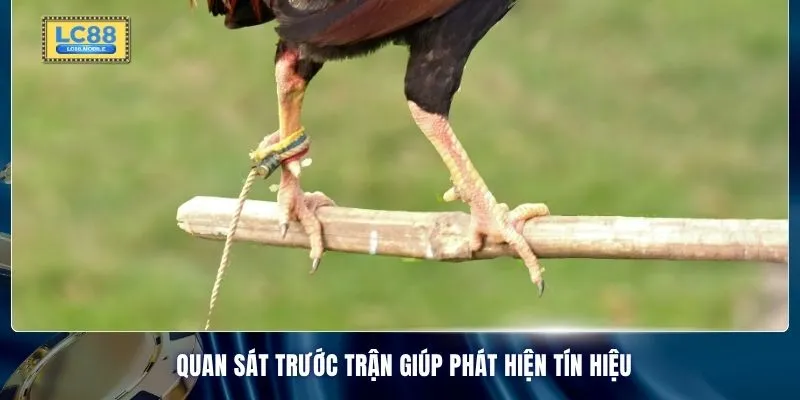 Quan sát trước trận giúp phát hiện tín hiệu